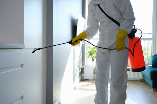 Best Emergency Pest Control  in Chena Ridge, AK